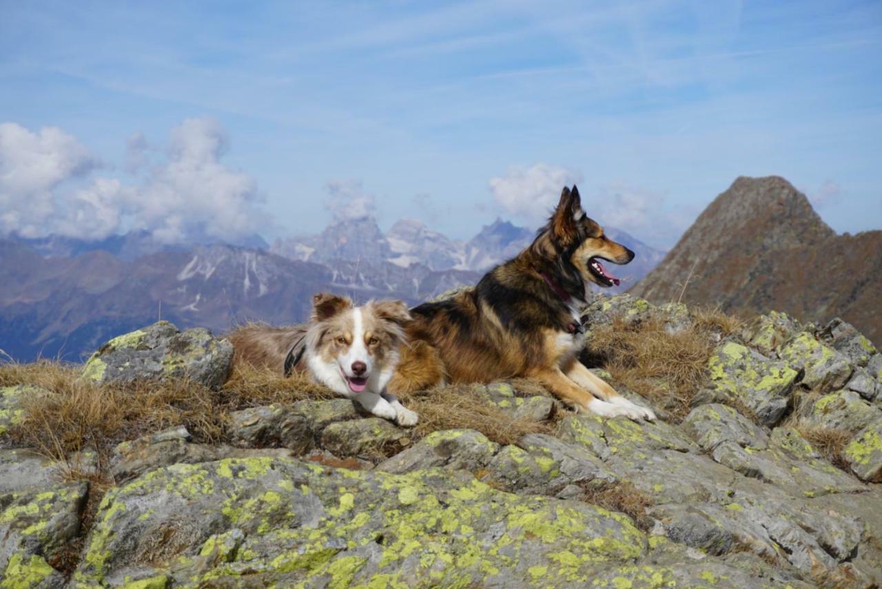 Historic Guesthouse Bircher B&B Apartments Near Sterzing Campo di Trens Luaran gambar